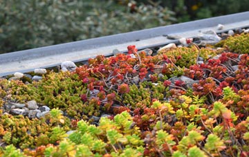 the cost of Stanley Green green roof installation