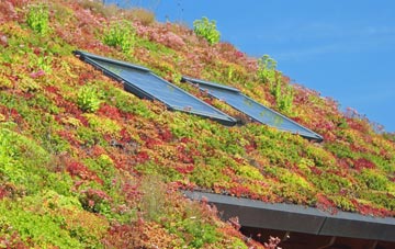 Stanley Green living roof systems