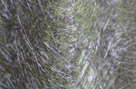 Stanley Green fibreglass roof work